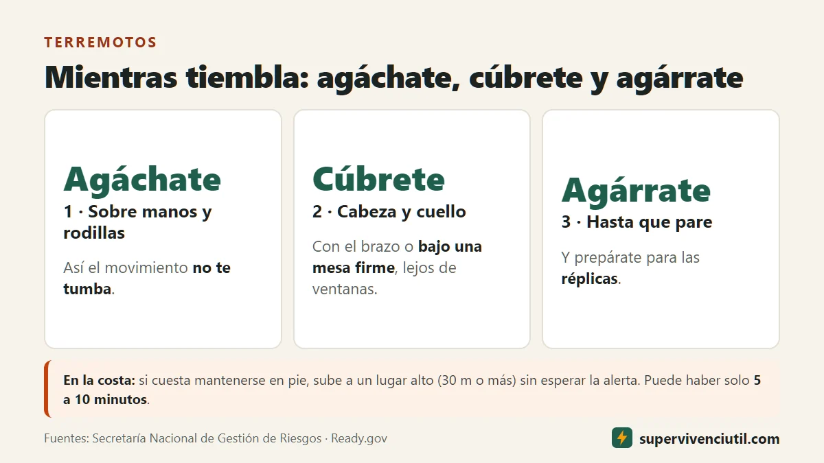 Infografía: durante un sismo, agáchate sobre manos y rodillas, cúbrete la cabeza y el cuello, y agárrate hasta que deje de temblar. En la costa, si el sismo es muy fuerte, sube a un lugar alto.